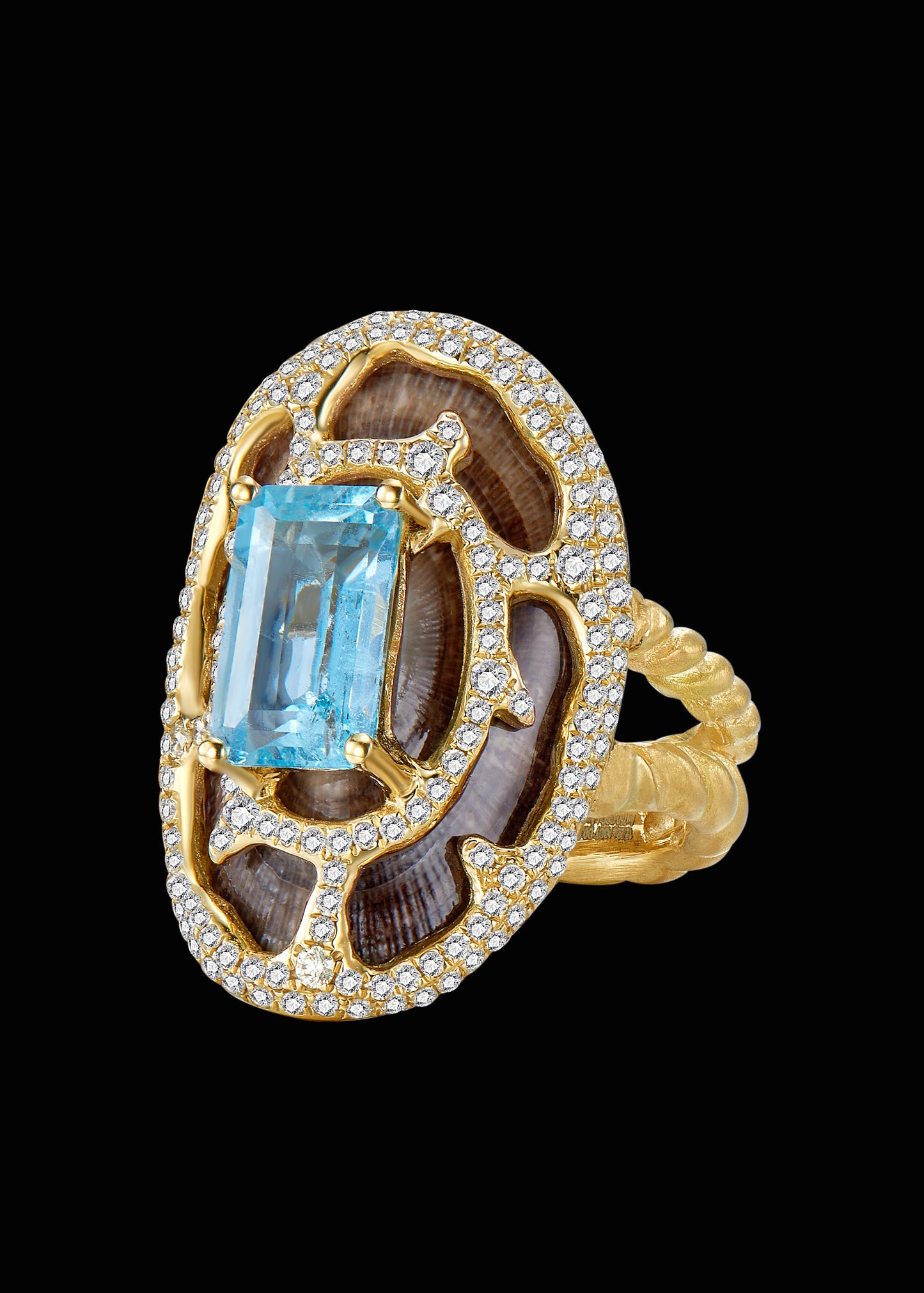 Shell Ring