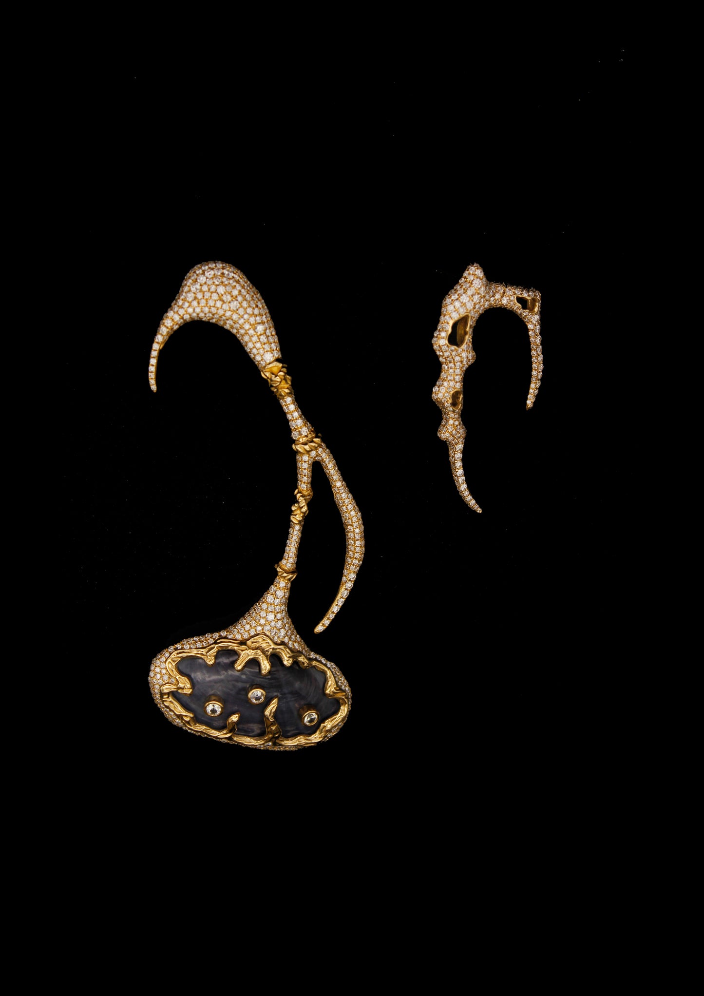 Shell Earrings