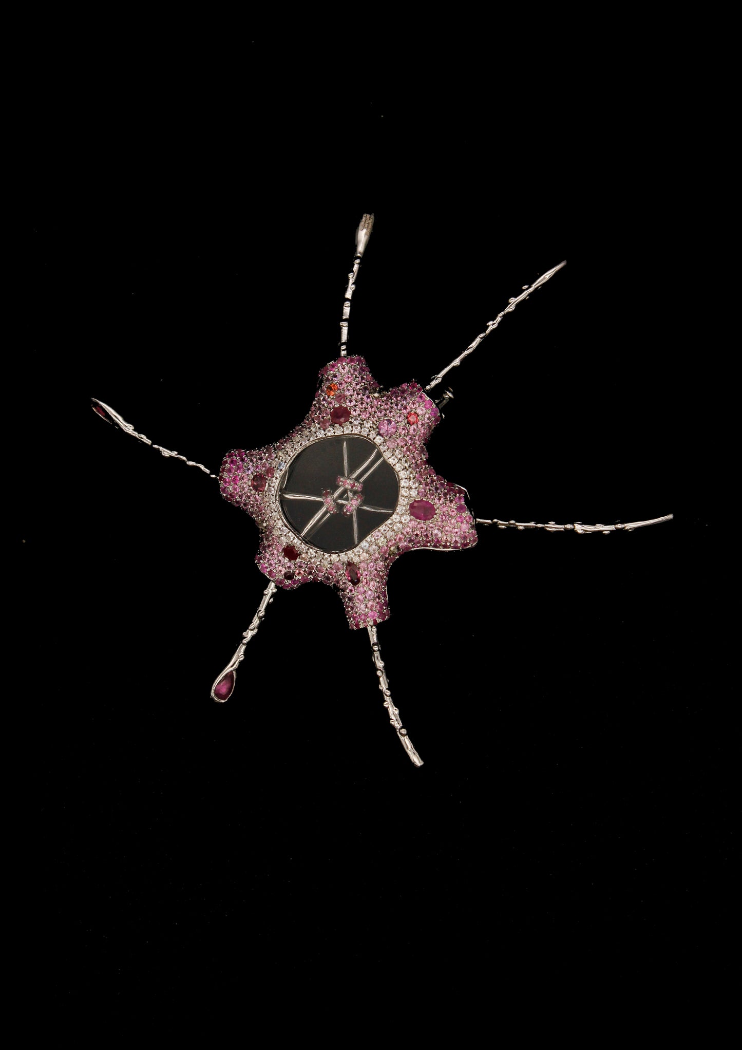 The Host, Brooch