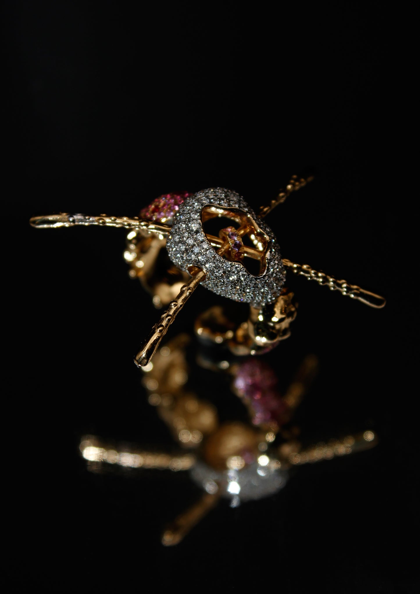 The Host, Ring