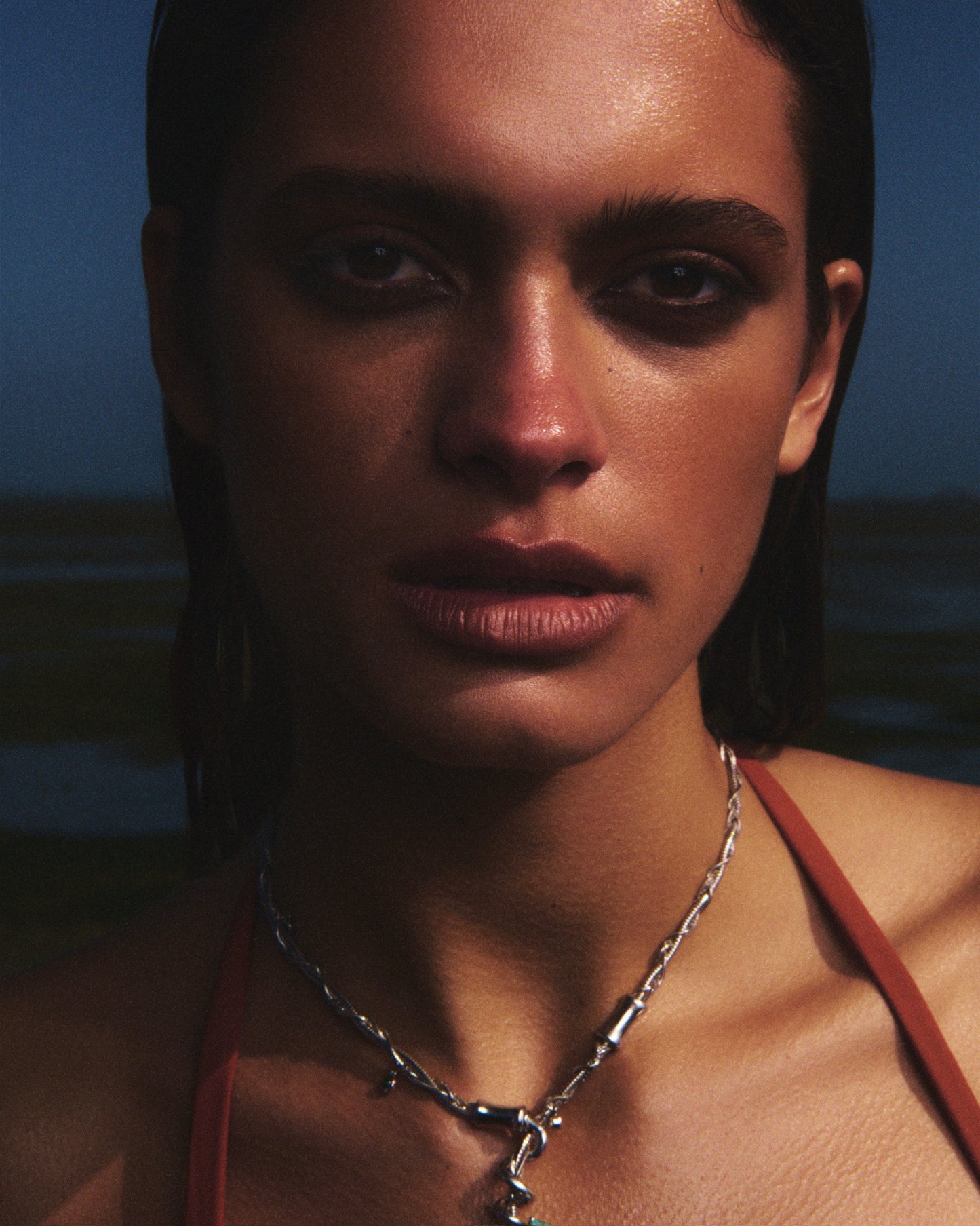 每剂58.77克，项链