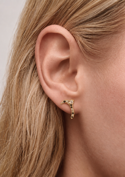 Brown Shell Stud Earrings 02 in 18K Gold